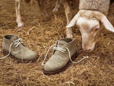 nae vegan shoes peta