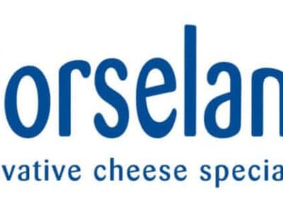 norseland logo