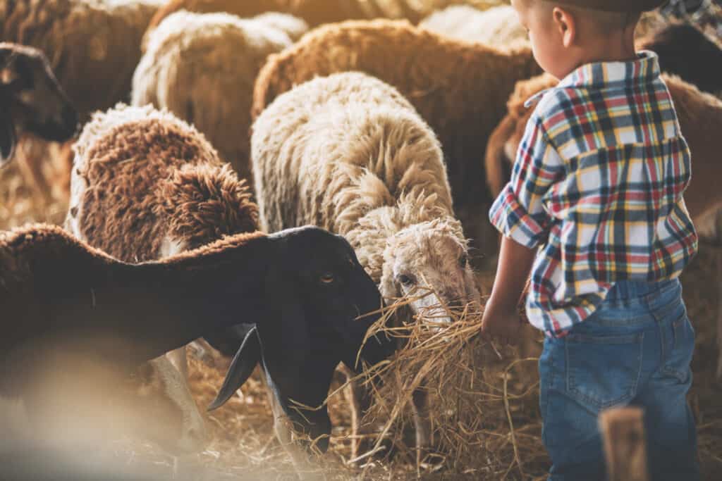 Tierschutz