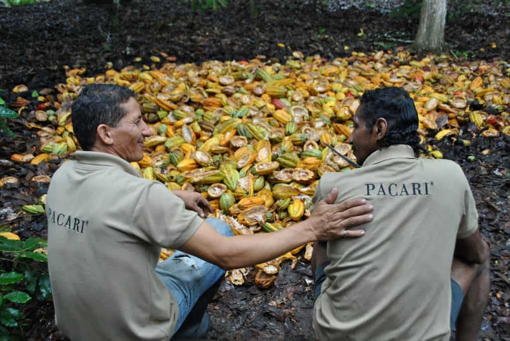 Kakaobauern aus Ecuador