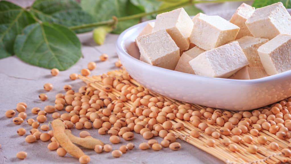 soja tofu