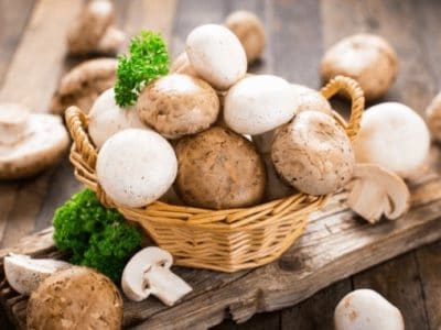 Pilze als proteinquelle bei veganer Ernährungåå