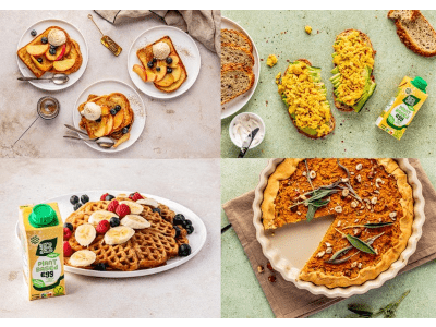 plant b egg ei-alternative