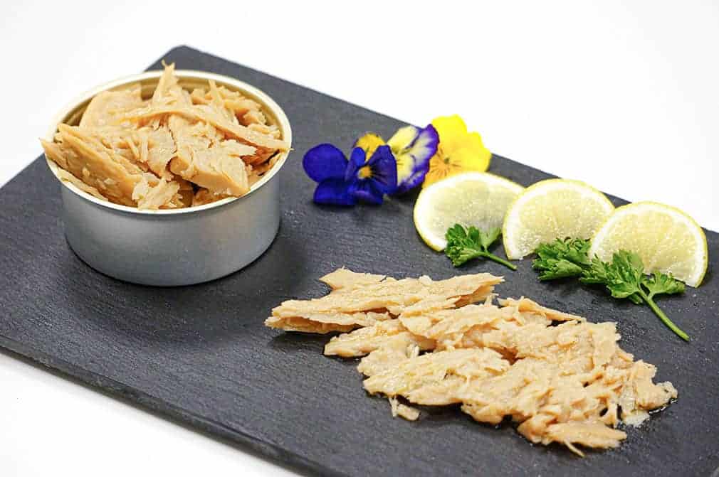 thunfisch auf pflanzlicher Basis