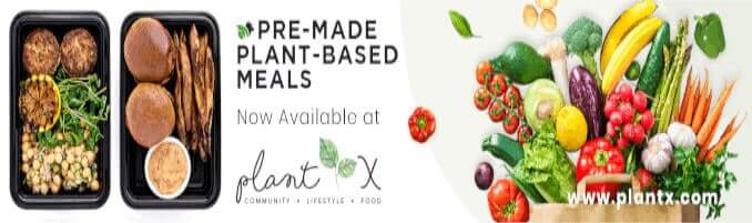 plantx modern meat