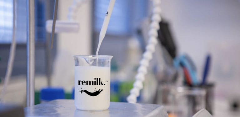remilk milch