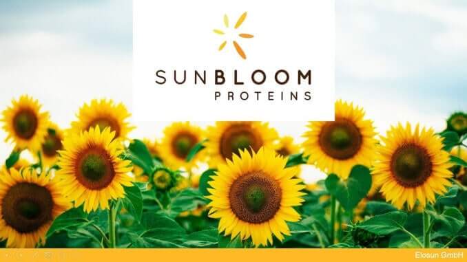 sunbloom proteins logo