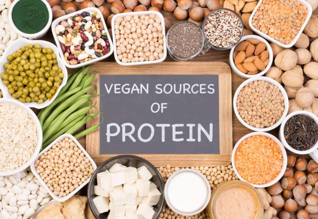 vegan source of protein pflanzliches eiweiß