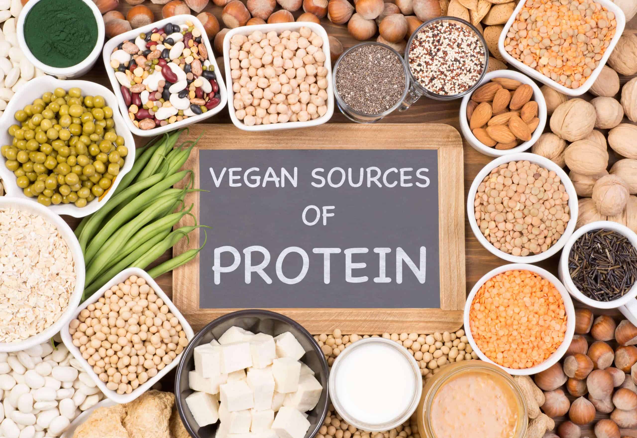 vegan source of protein pflanzliches eiweiß