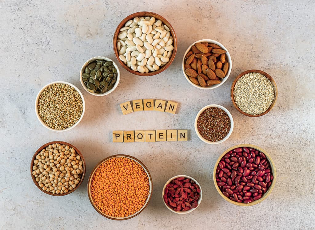 vegane proteinquellen