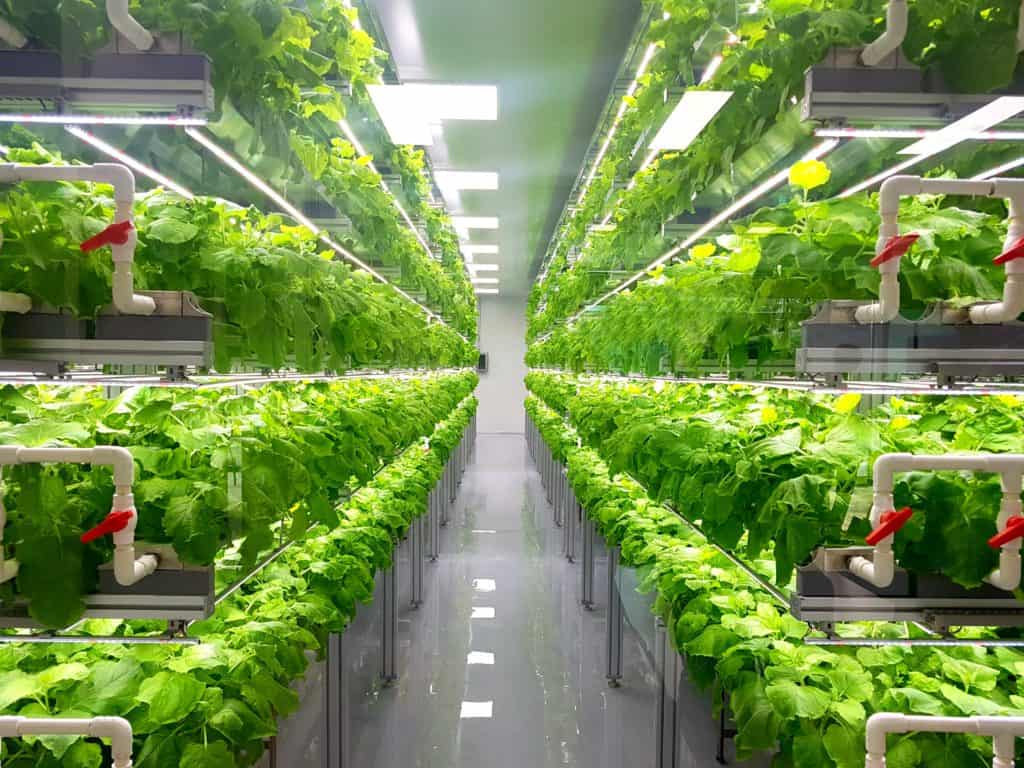 vertical farming farm