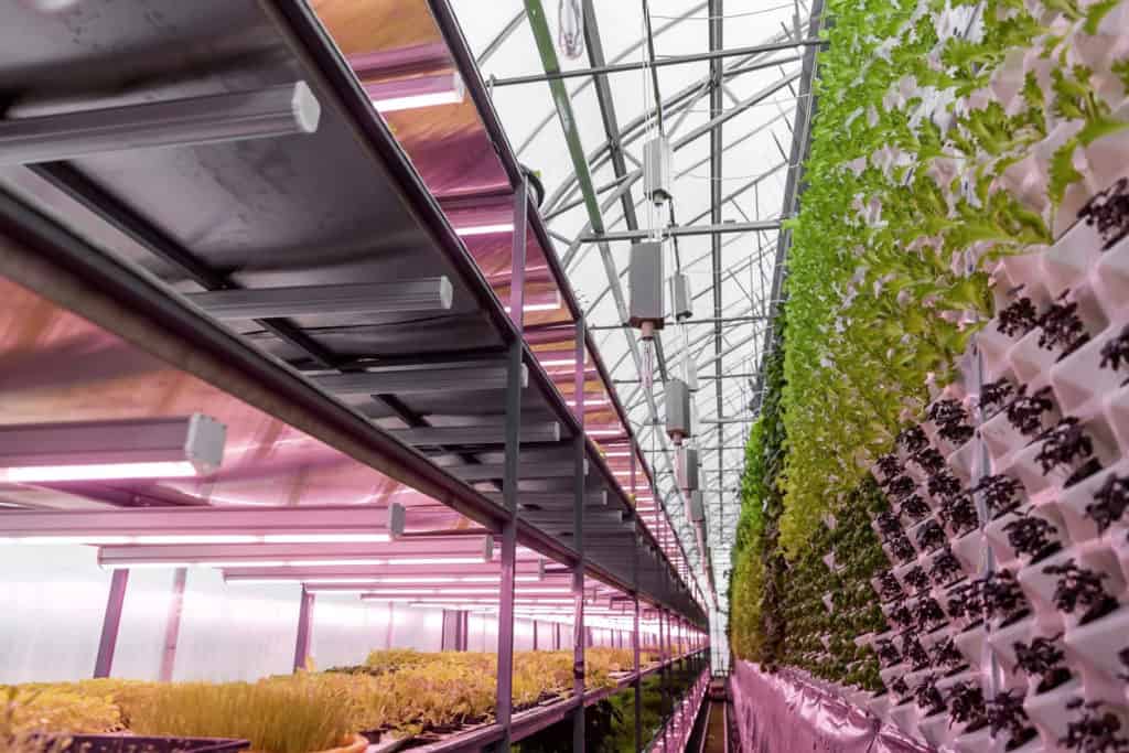 vertifarm messe dortmund