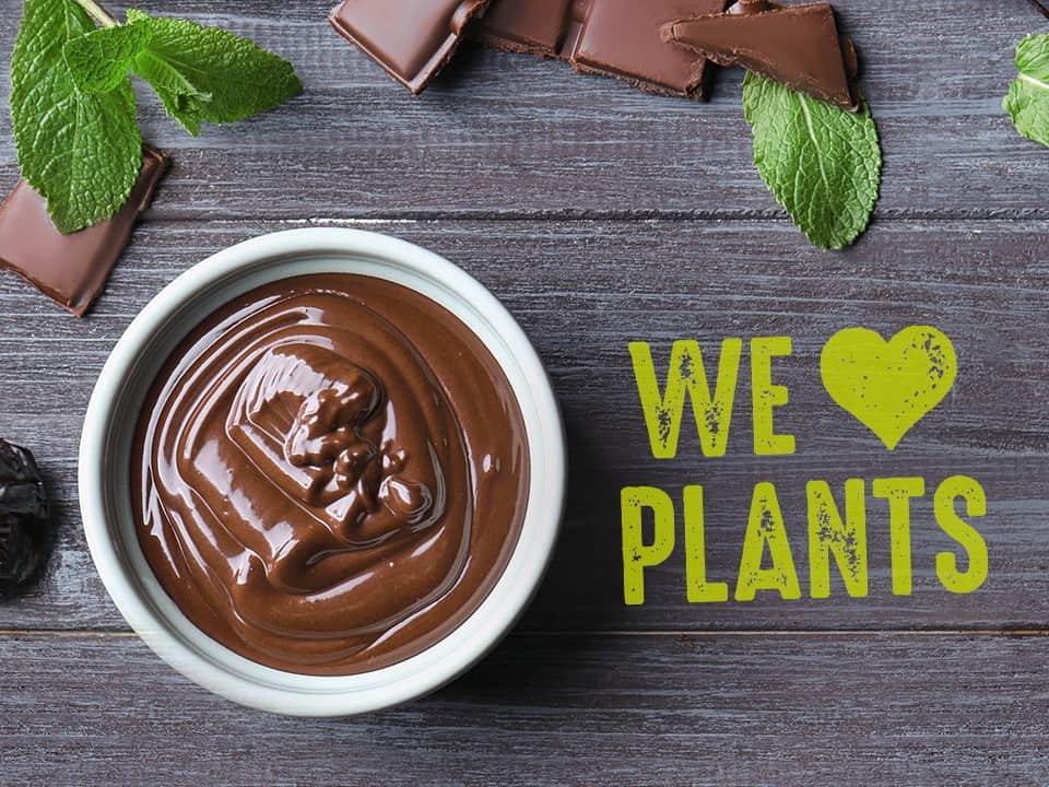 we love plants pudding