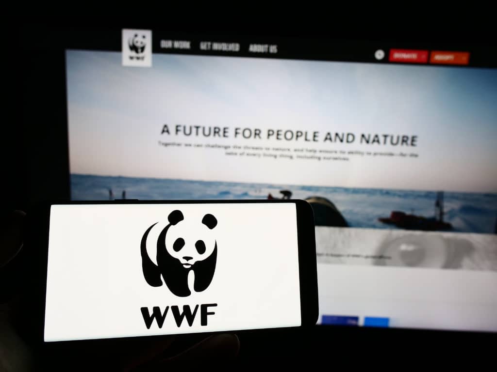 wwf logo