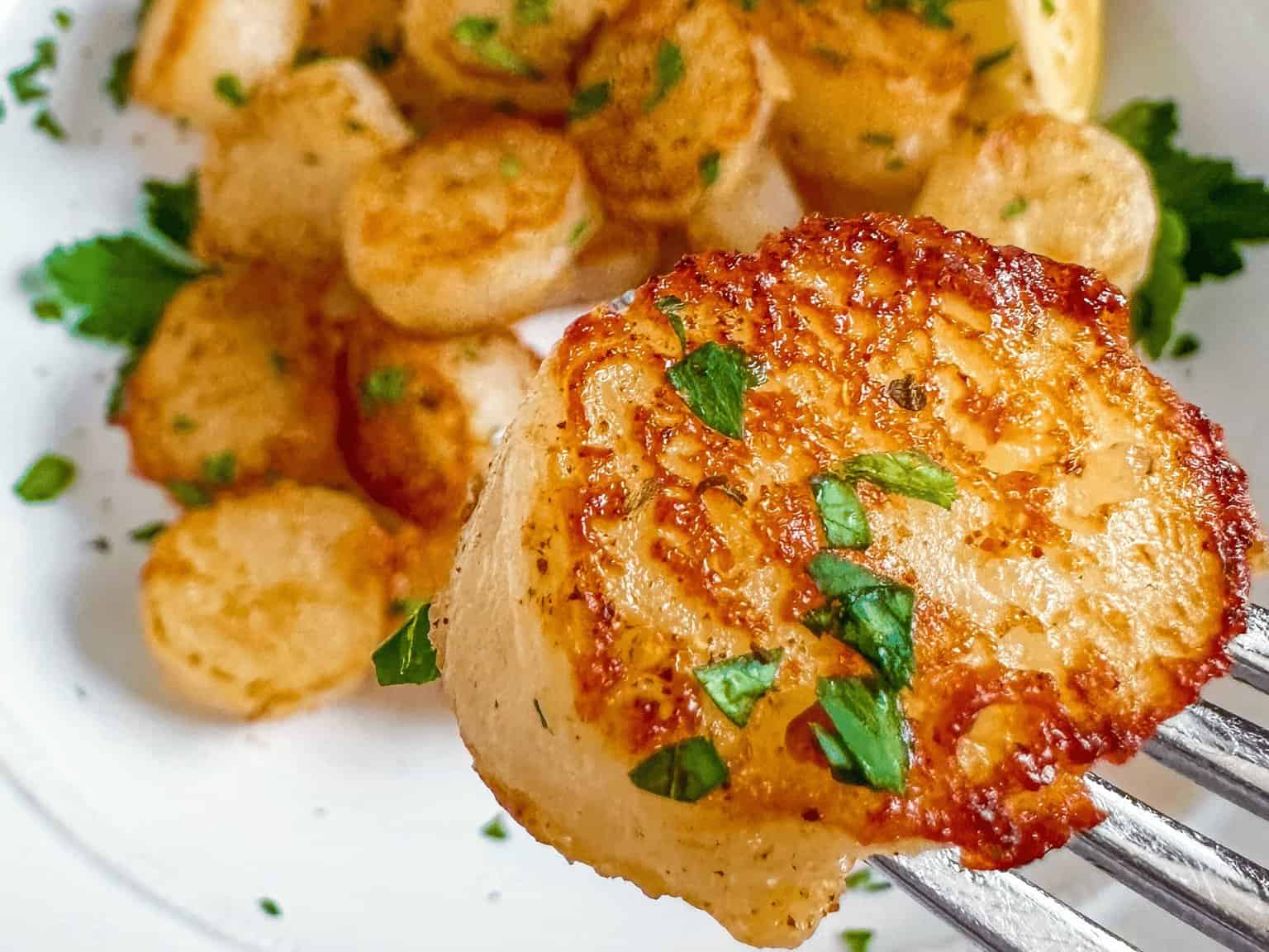 The Plant Based Seafood