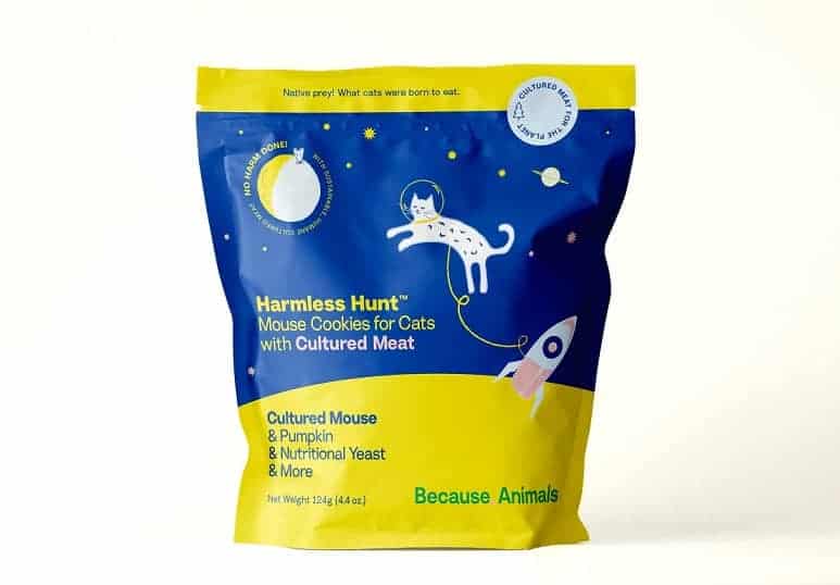 Because Animals Produkt
