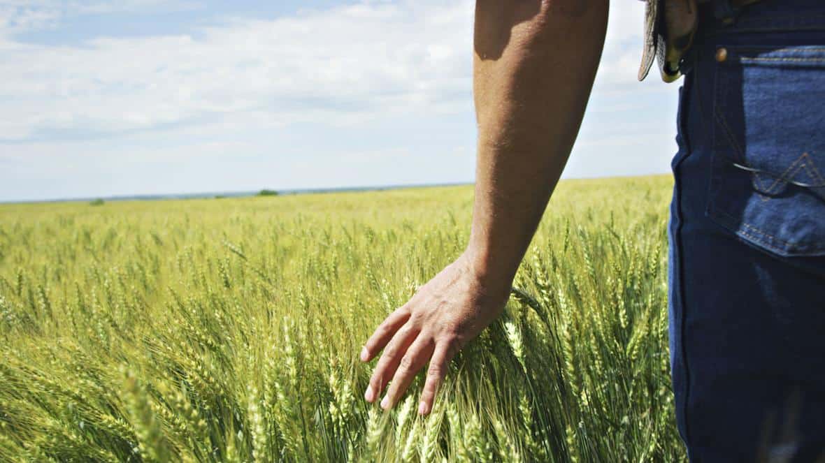 ADM expands its regenerative program in Europe