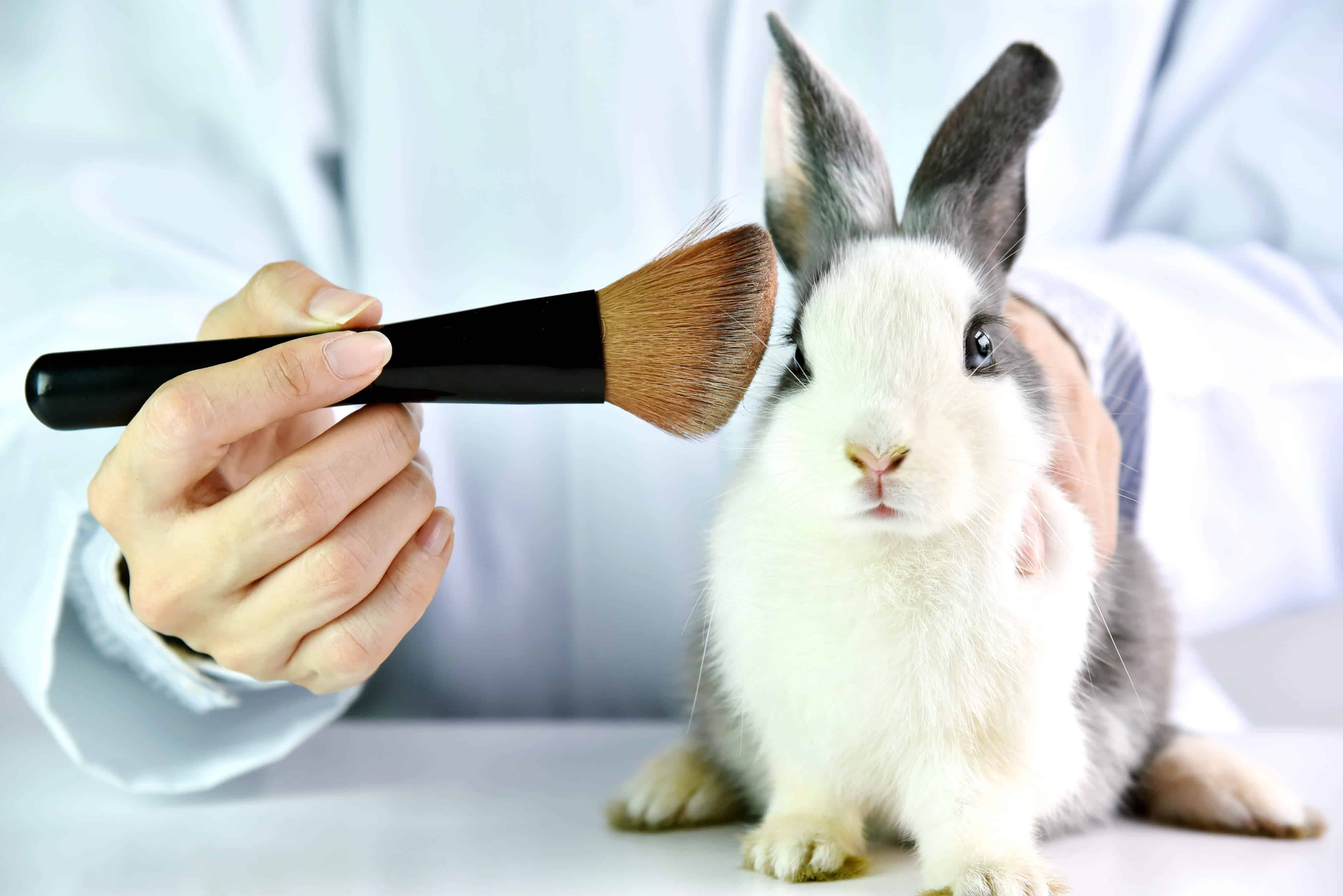 cruelty-free