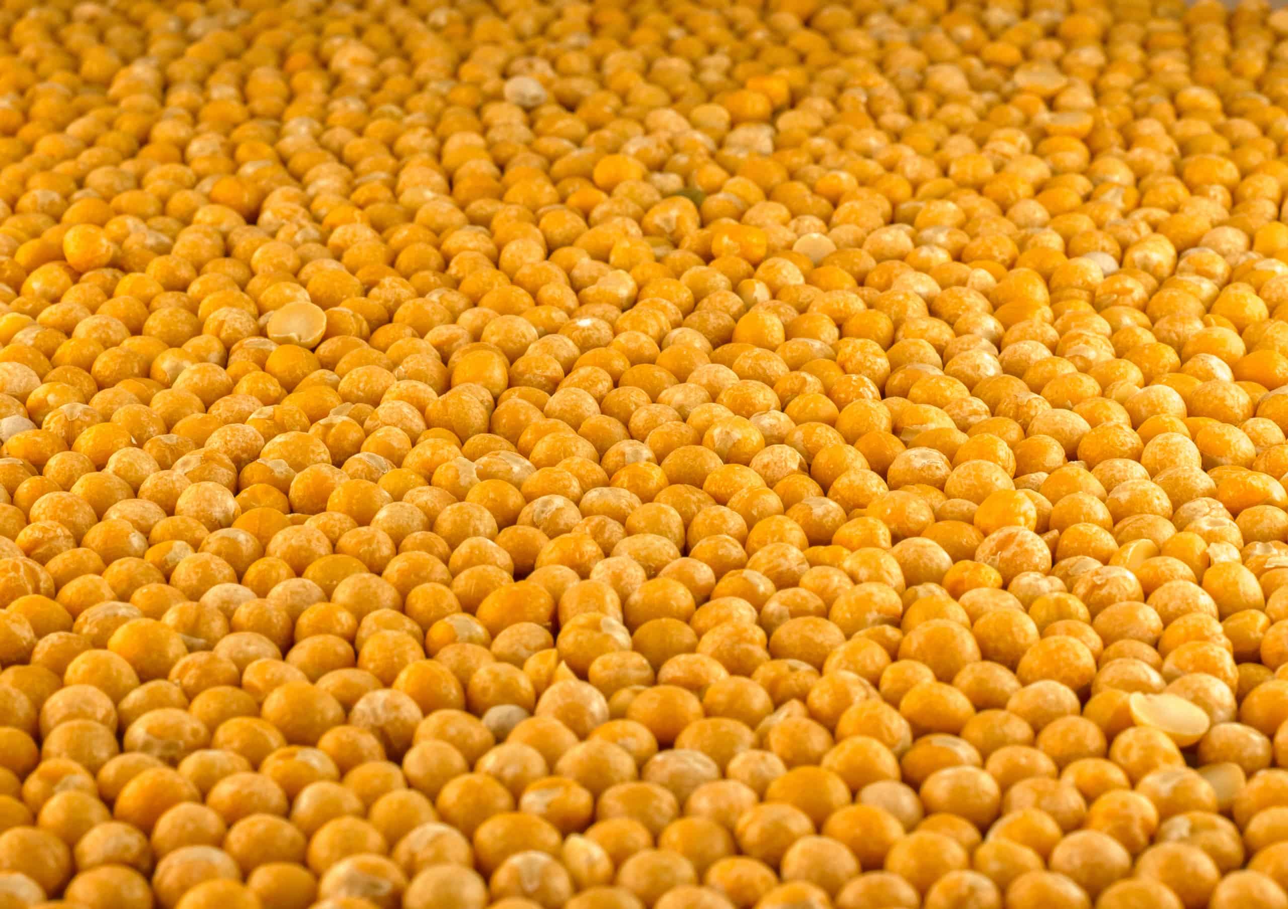 yellow peas