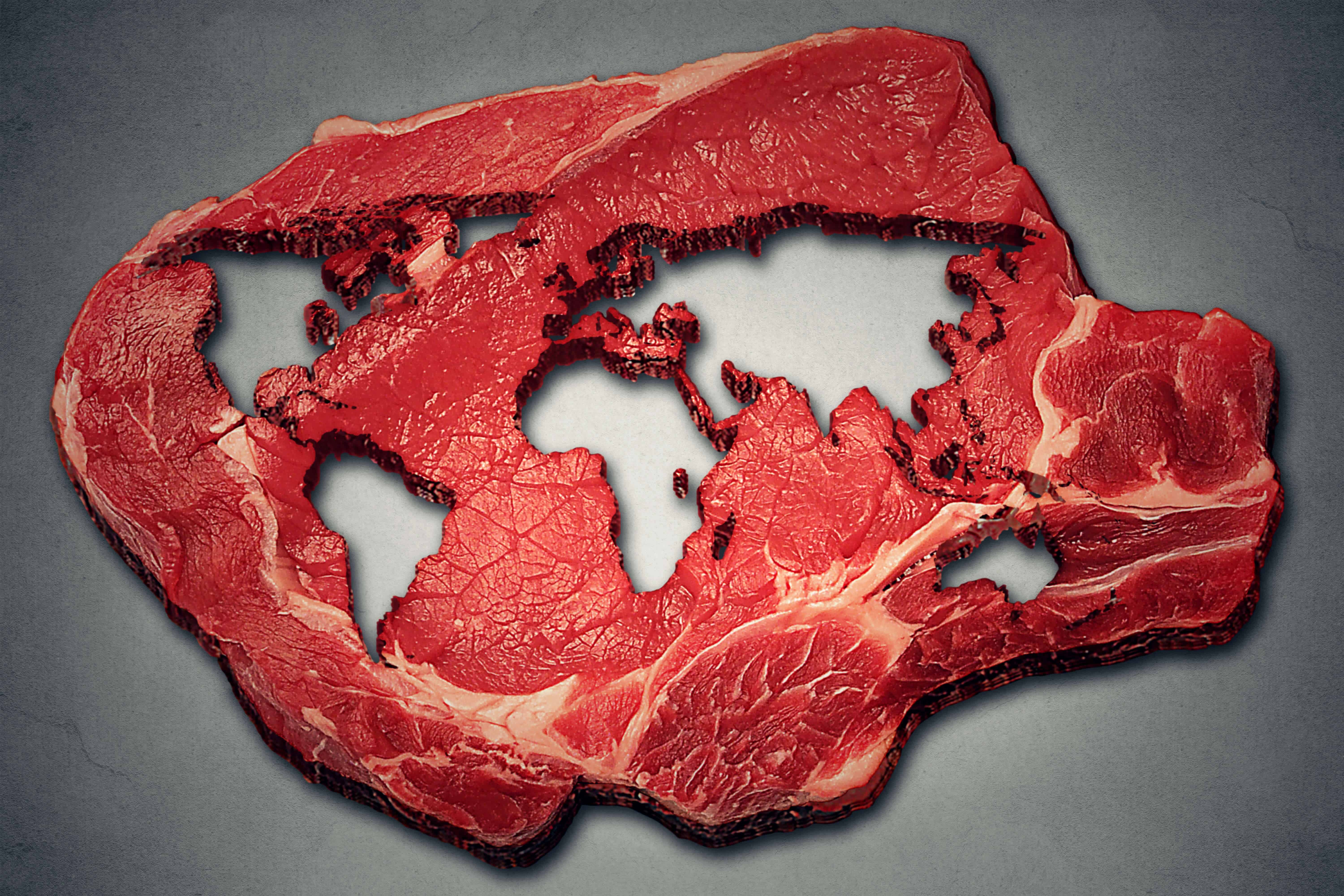 Scientists argue that a shift to plant-based diets, a global phaseout of industrialized animal farming, and a global standardization of climate change metrics are effective measures to reduce global warming.