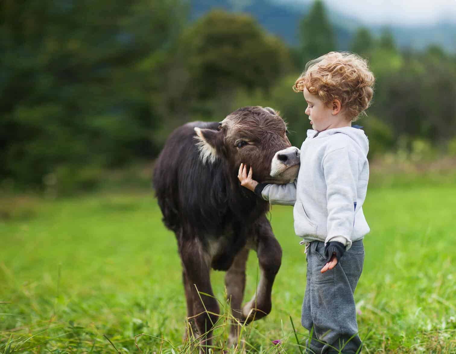 Aleph Farms Going Carbon-Neutral by 2025