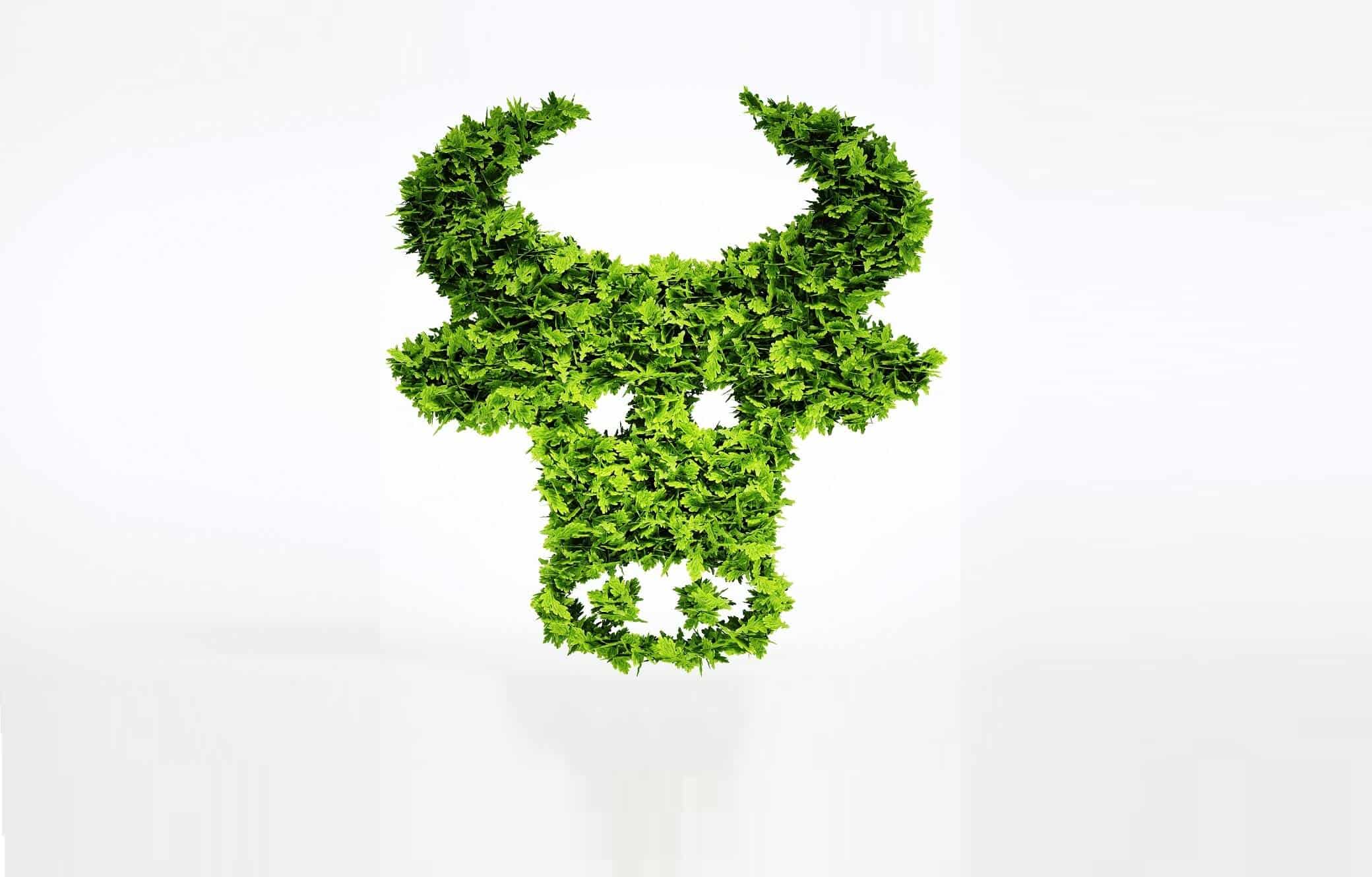 Aleph Farms to the USDA- Clean meat can improve food safety W (002)