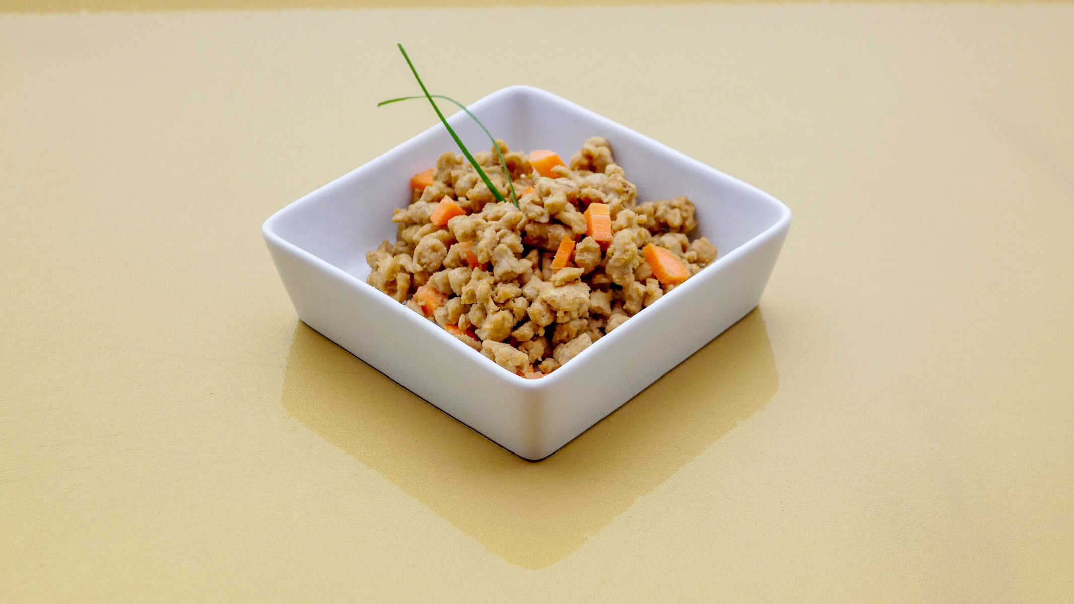 Biocraft dog food in dish