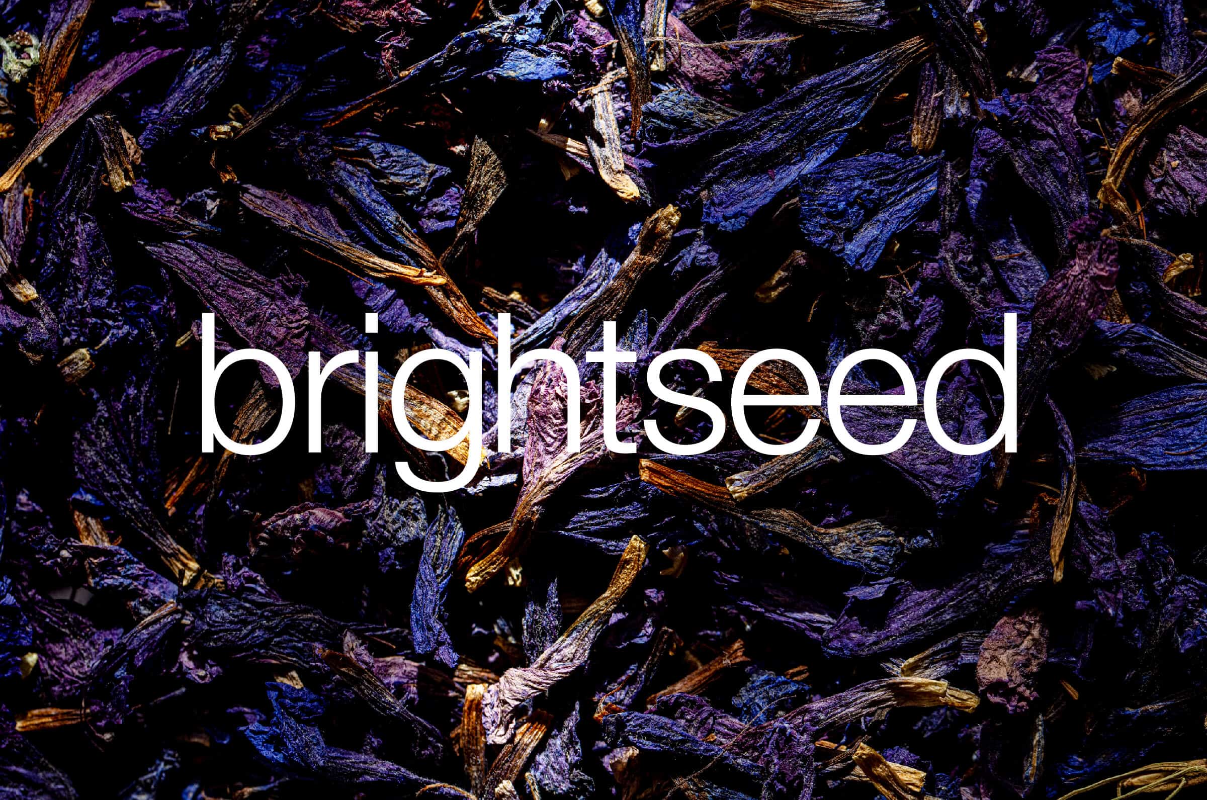Brightseed