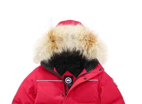 Canada Goose