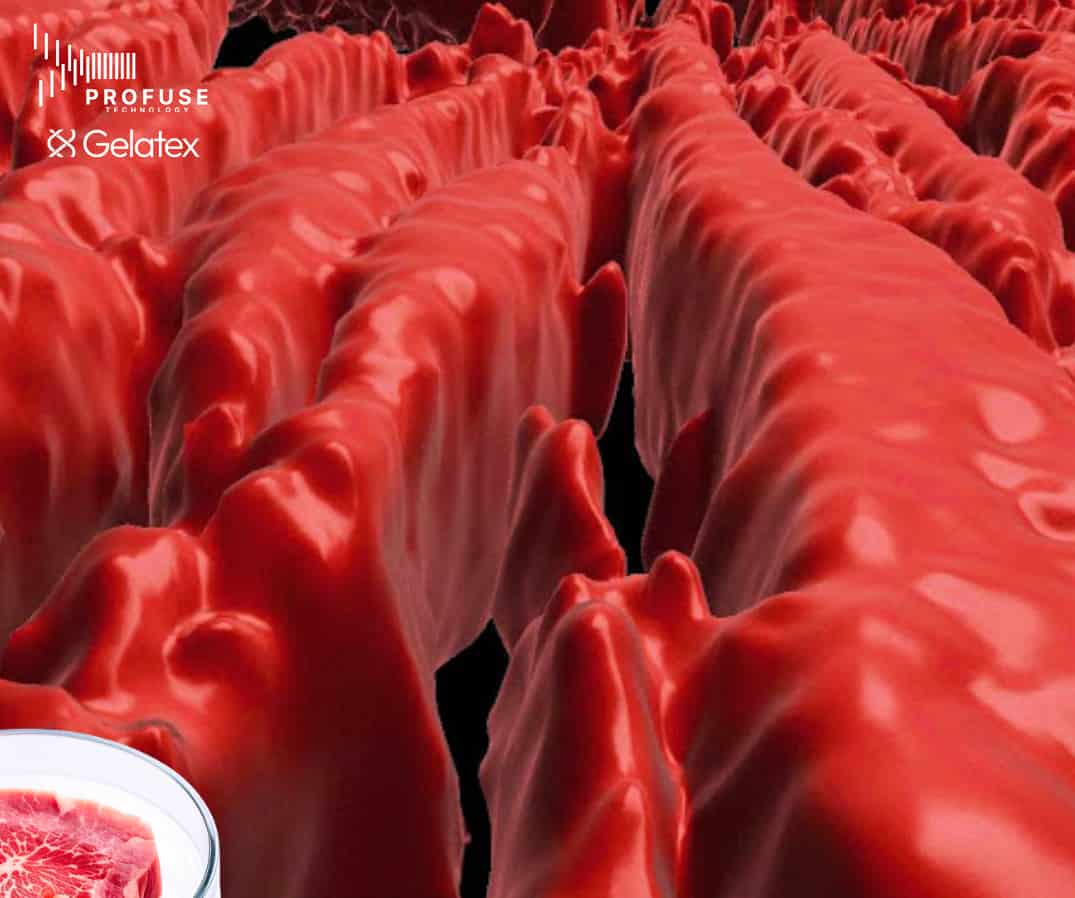 ProFuse Technology and Gelatex have partnered to advance cultivated meat production.