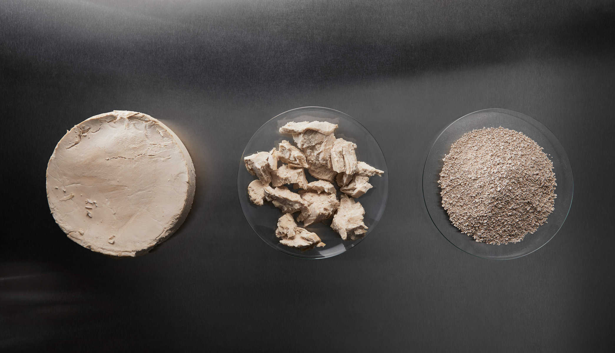 Enifer's mycoprotein ingredient