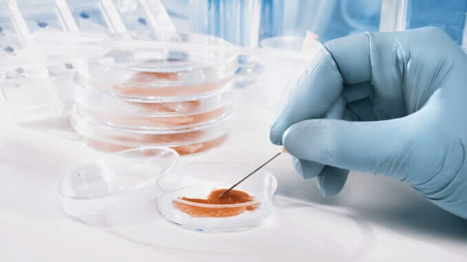 In-Vitro-Fleisch - Clean Meat