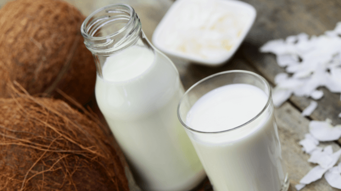 Ein Glas voll Kokosnussmilch
