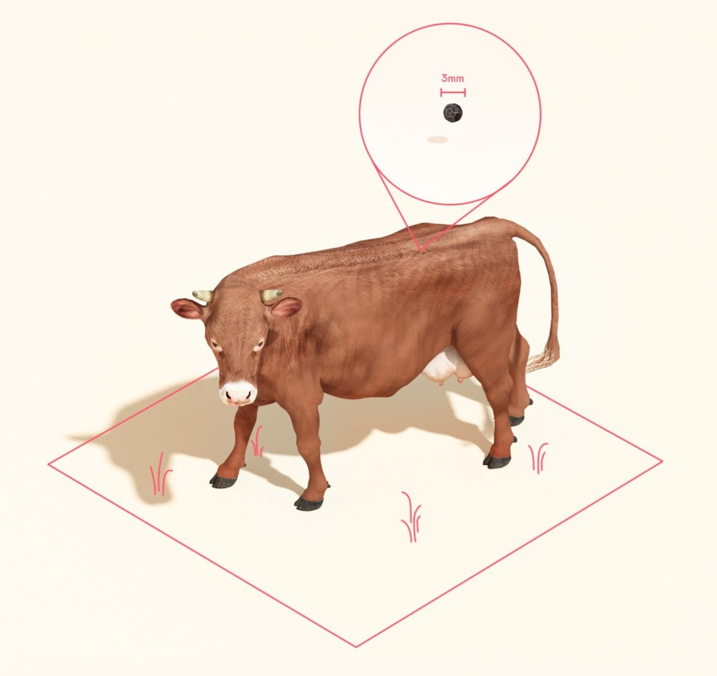 Mosa Meat