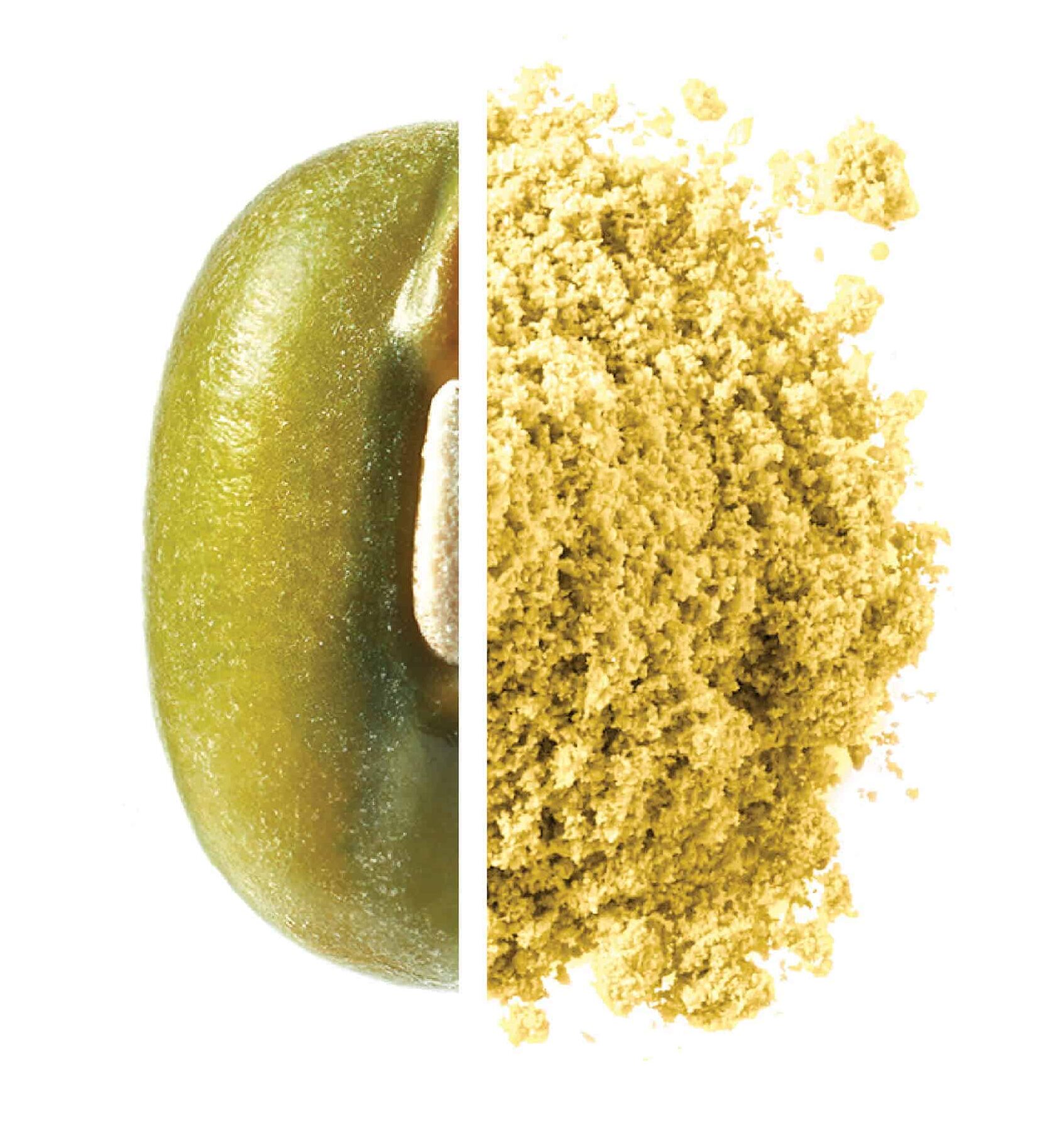 Mung Bean Protein JUST