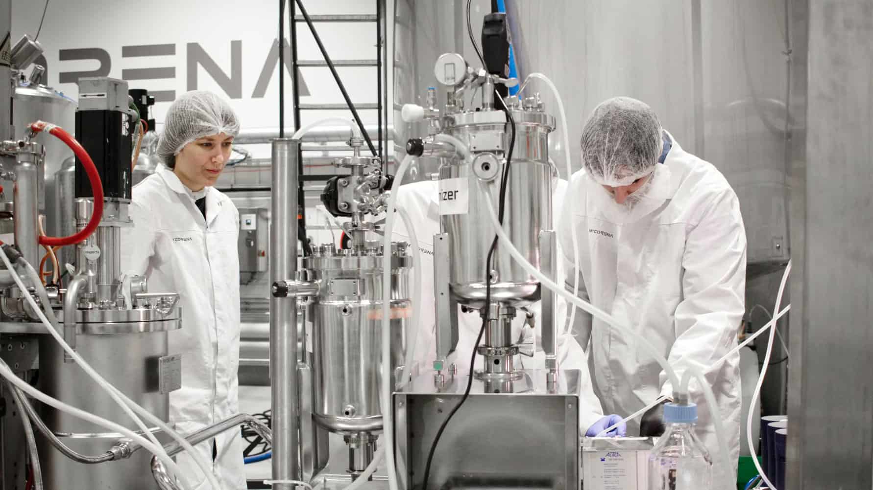 Mycorena brewing protein