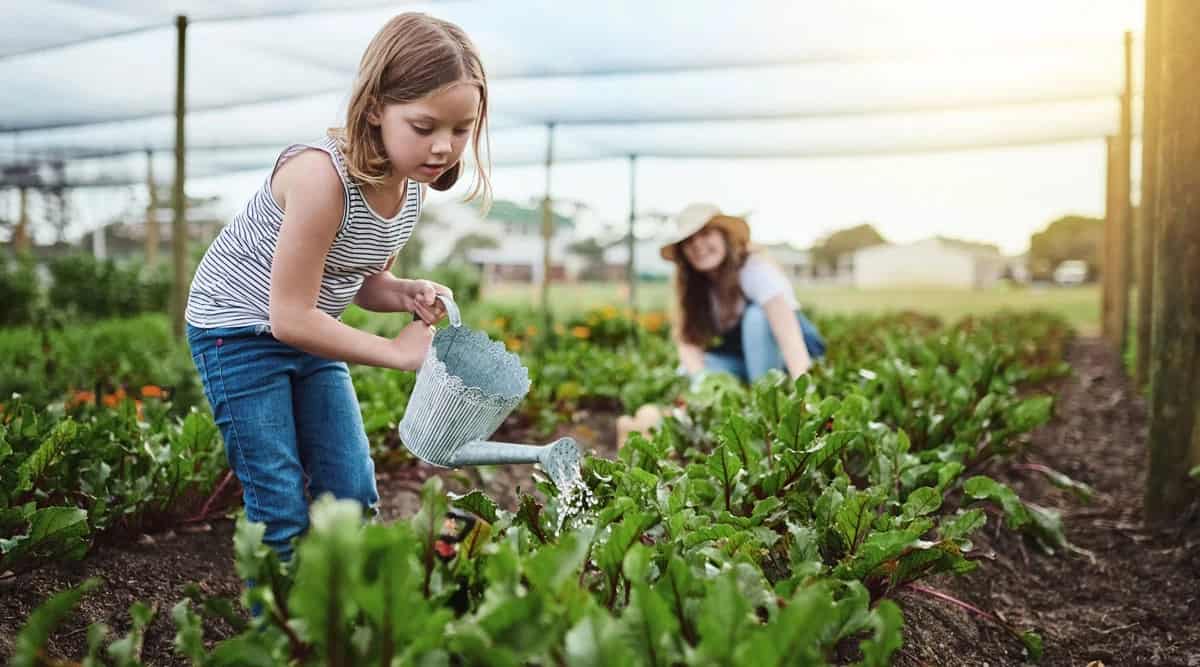 Seeding the Future girl waters plants