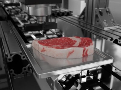 Steak MeaTech