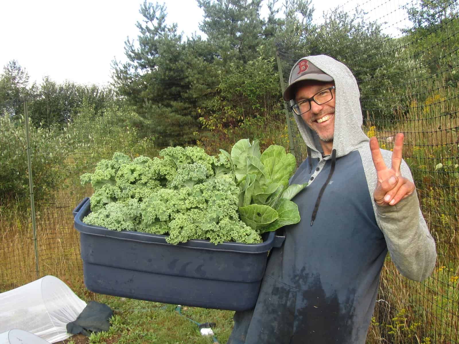 Jimmy Videle veganic kale
