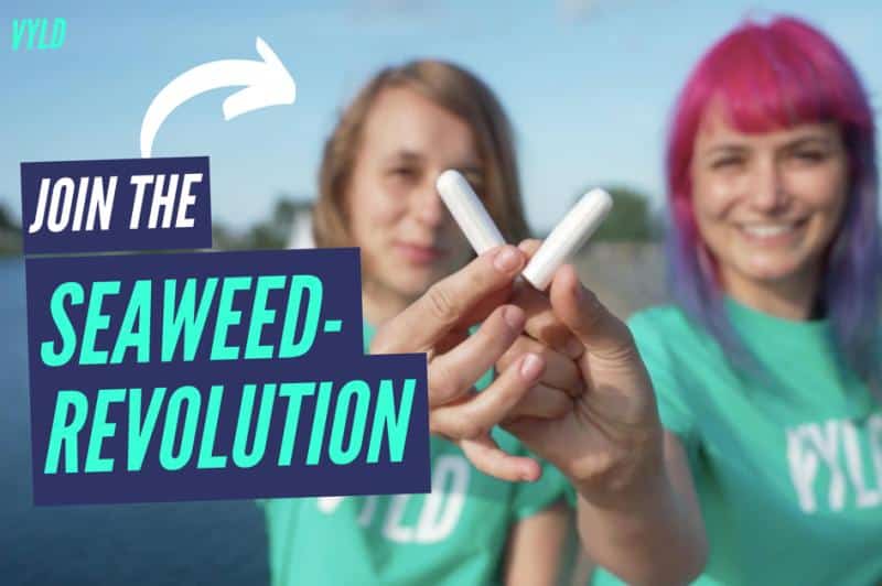 Seaweed tampons