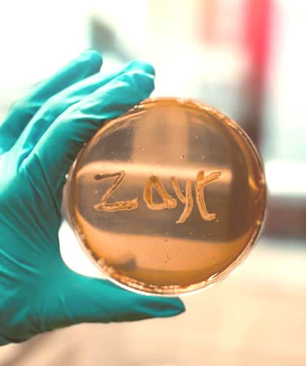 A petty dish with filled with fat