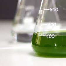 algenuity