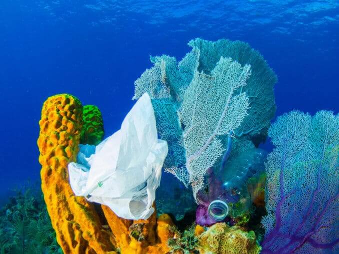 plastic on coral reef