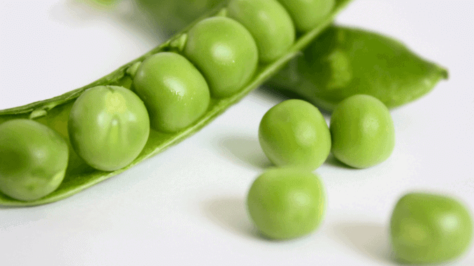 Erbsen