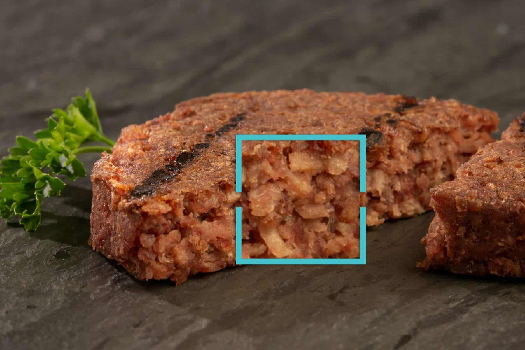 APPETEX Plant-Based Burger Texture