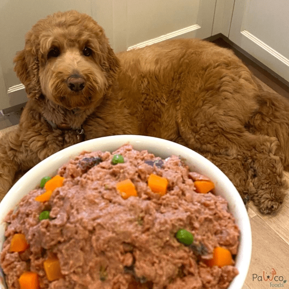 PawCo nourriture humide chien