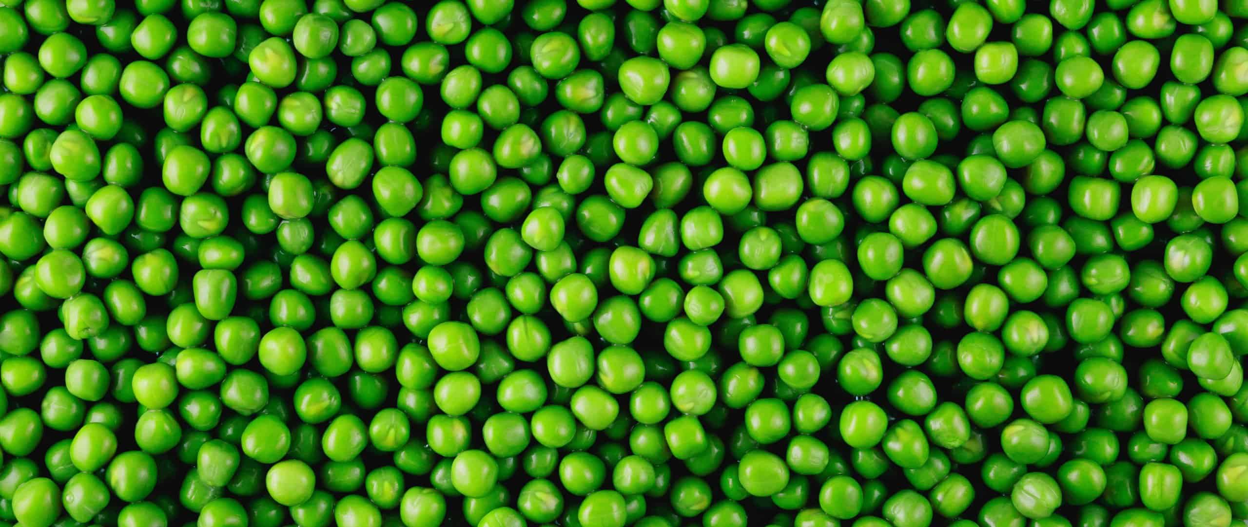 Green peas in close up