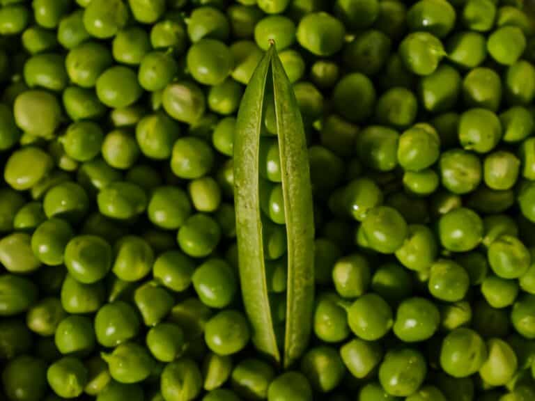 peas in shell