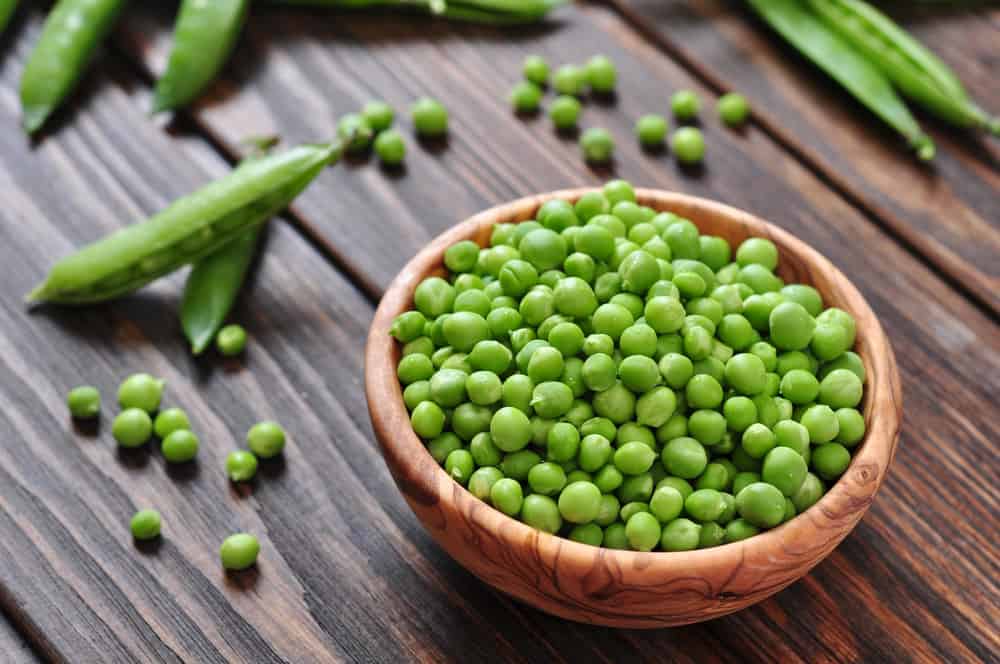 Cargill's RadiPure protein
