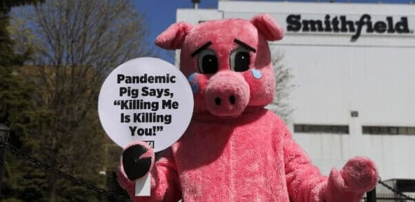 smithfield demo PETA